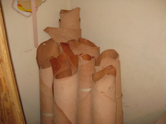 IMG 2951 IMG 2951