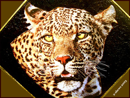 diagonal_leopard