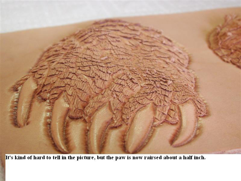 bearpaw (28)