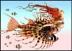 Scorpion-Fish-Mermaid-unfla.jpg