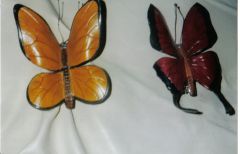 Butterfly Hair clips