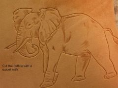 elephant demo 003 (Large).jpg