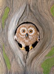 Owl Portrait