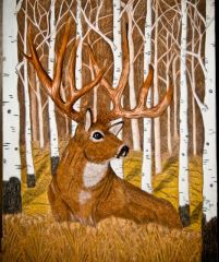 Whitetail Deer-  Aspen Apparition