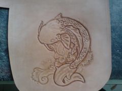 Bag with koi fish  in process