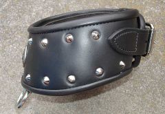 Leather Collar