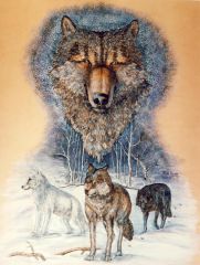 Robb_Barr_Wolfhead_with_3_Wolves_1995_web.jpg