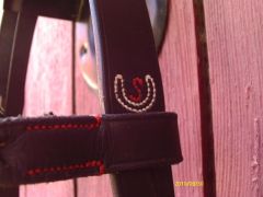 Bridle with special pattern