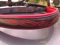 Bridle with special pattern