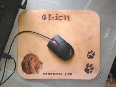 The mouse pad :-)