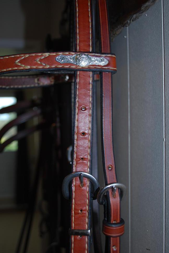 First Bridle