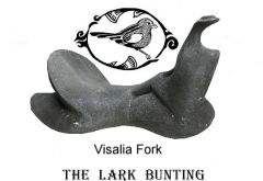 Visalia Fork for Lark Bunting