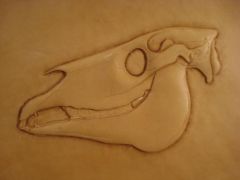 Embossed horse skull