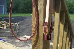 reins.JPG