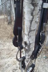 dan's bridle bit.JPG