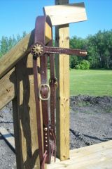 cowboy bridle.JPG