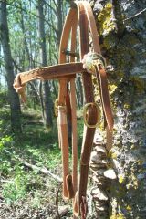 working bridle 2.JPG