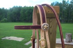 two-tone bridle 2.JPG