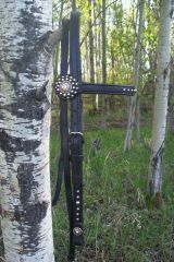 black bridle 2.JPG