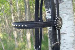 black bridle 3.JPG