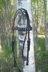 black bridle.JPG