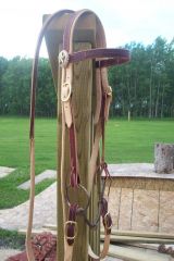 two-tone bridle.JPG