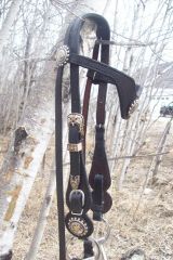 dan's bridle side 4.JPG
