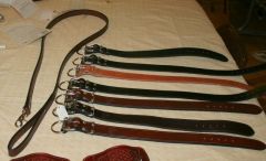 dog leashs and collars