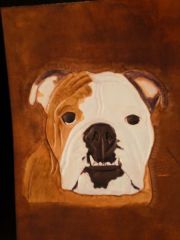 English Bulldog on leather