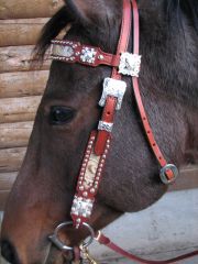 Headstalls