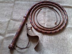 Bullwhip 16 plait 250cm 3.jpg