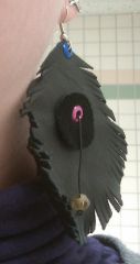 Leather Feather Earrings - Peacock