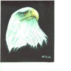 eagle scan.jpg