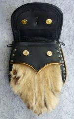 paws detail
