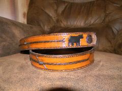 Custom ordered show calf And barbed wire