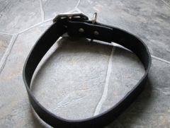 Dog collar1
