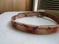 collar3
