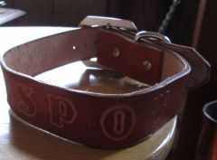 dyed collar2