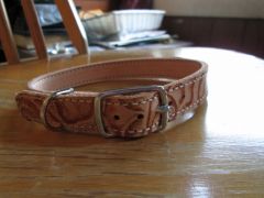 brown collar 001 (800x600)