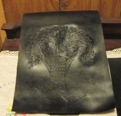 pakybook 2