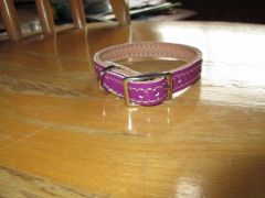 purple collar