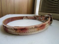 collar2