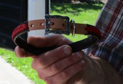 Josh's collar