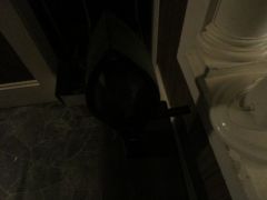 horrse2