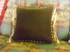 Back of Suede Pillow
