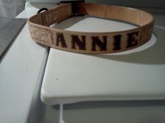 dogcollar