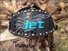 Jet