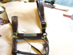 PREMIER SERIES HALTER