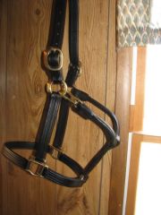 BLACK SALE/SHOW HORSE HALTER