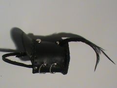 mini hat
